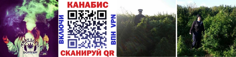 Каннабис тримм  Купить где  Новоузенск 